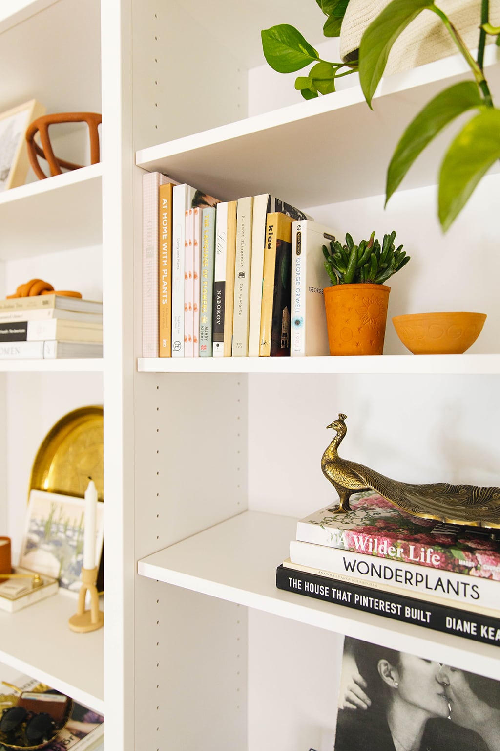 Desert decor Bookcase